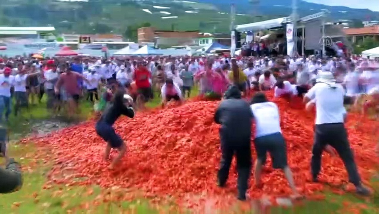 La fête de la tomate en Colombie a été le théâtre d'images colorées