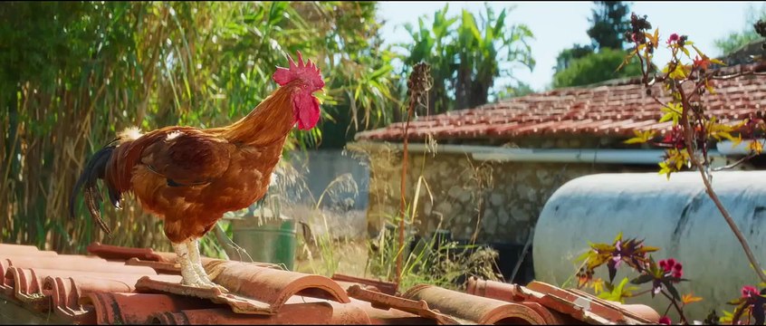 Curral de Moinas - Os Banqueiros do Povo Bande-annonce (PT)