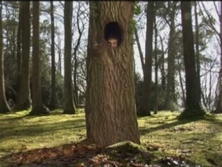 INFOLITERIE.COM : CONSEILS POUR BIEN CHOISIR SA LITERIE