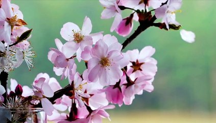 Clip di Roma: Gianluca De Micheli (ieri)