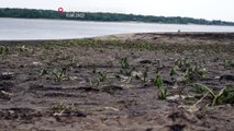 Guerra en Ucrania | Preocupante caída del nivel del río Dnipro tras el ataque a la presa de Kajovka