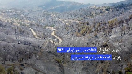 السجن ثماني سنوات لمزارع تسبب بأعنف حريق غابات في قبرص