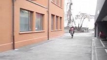 pino moto