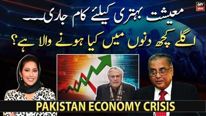 Hafeez Pasha comments on Dar's policies and budget 2023