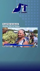 Platão do milho: vendas 24h no Ceasa