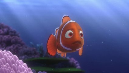 The Physical Deceased of The Female-Clownfish Coral