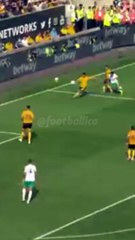 Saint-Maximin Stunning Goal Newcastle vs Wolves