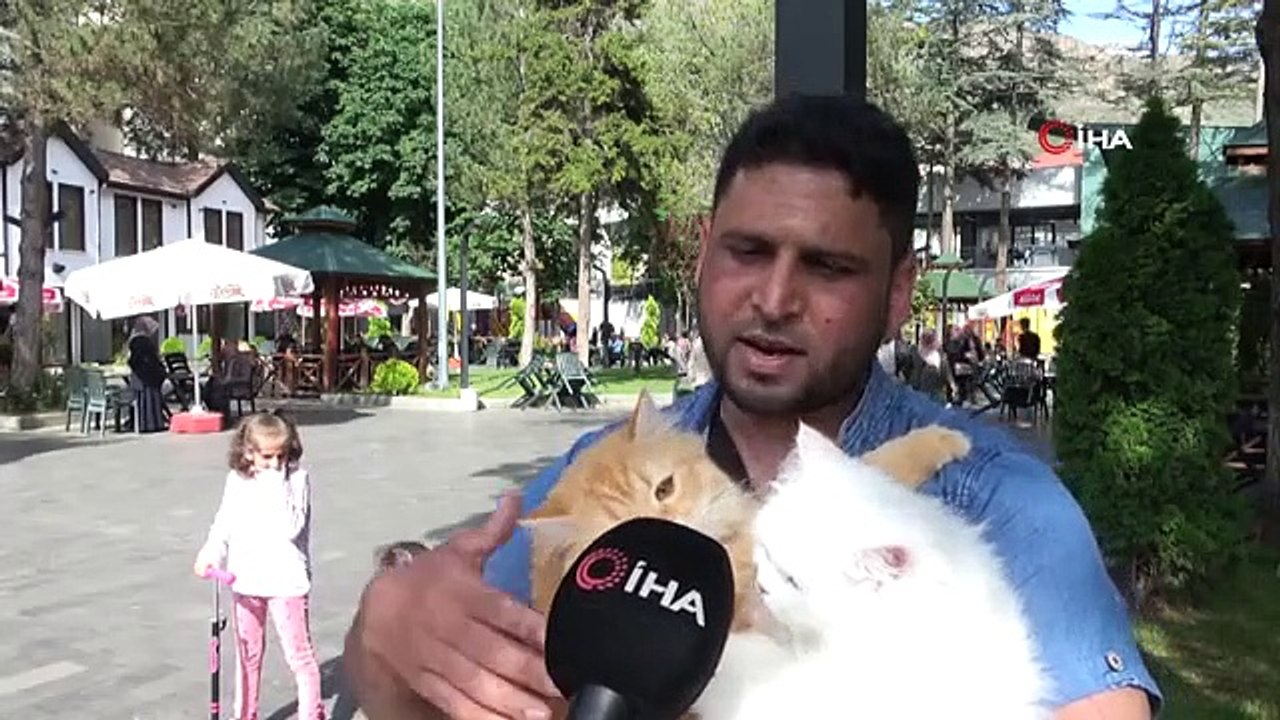 Un informaticien pakistanais attire l'attention avec ses 4 chats qu'il promène sur son épaule et ses genoux
