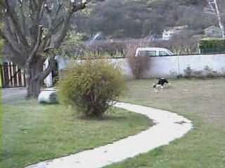 Conduite de balle par Chipper dans ses oeuvres