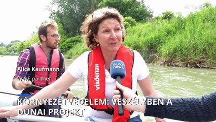 Környezetvédelem: veszélyben egy dunai projekt Ausztriában