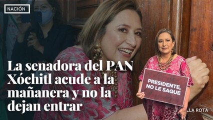 Entre “No estás sola” y “fuera Xóchitl”, senadora acude a la mañanera y no la dejan entrar