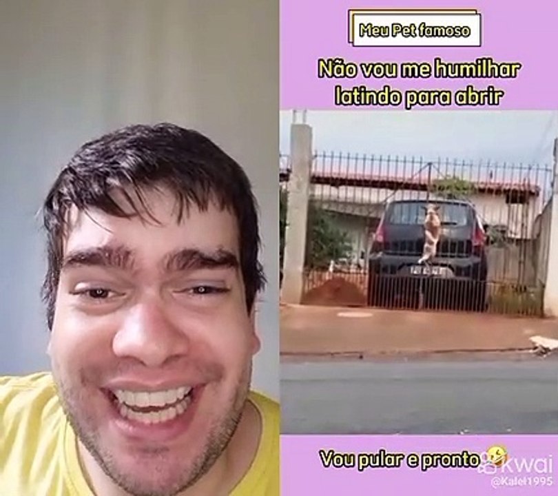 Cachorro arteiro kkk