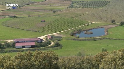 Eixo Atlântico traça linhas de atuação em cinco áreas para desenvolver interior