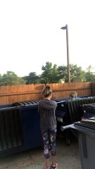 Sauver des ratons laveurs d'une benne à ordures