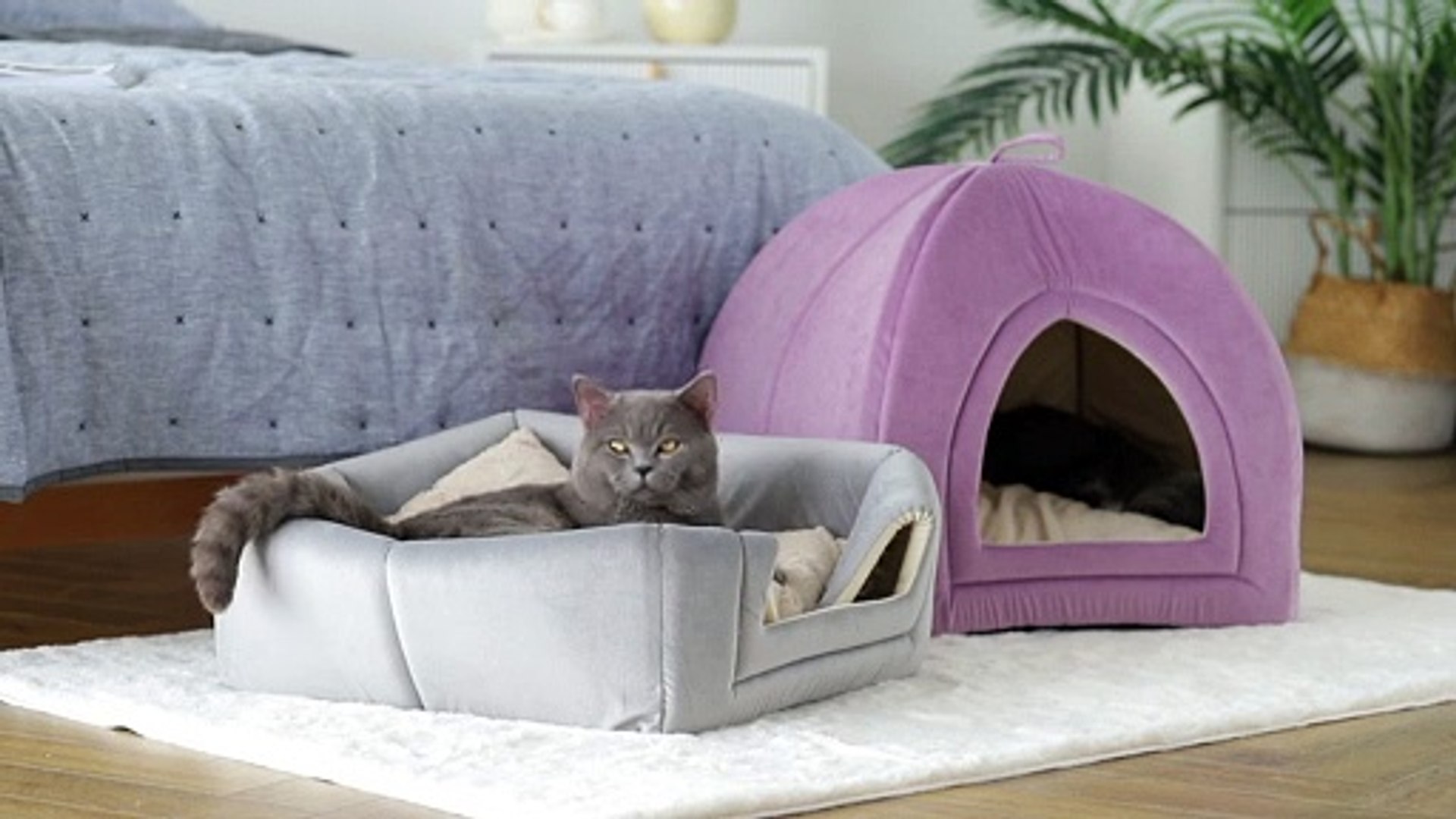 代引可 Bedsure Cat Beds for Indoor Cats -Large Cave Pet House with Flu 