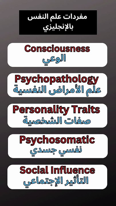مفردات اللغة الإنجليزية للمبتدئين.