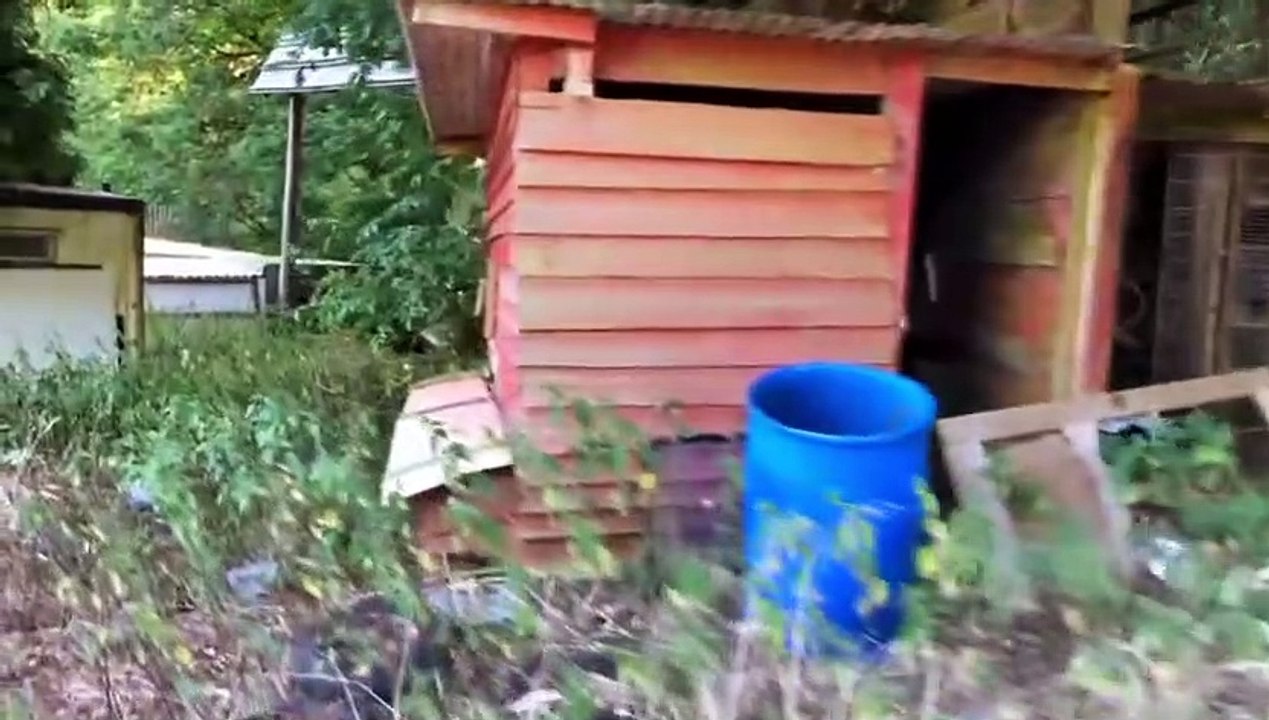 Criminals Caught on Camera S06E07