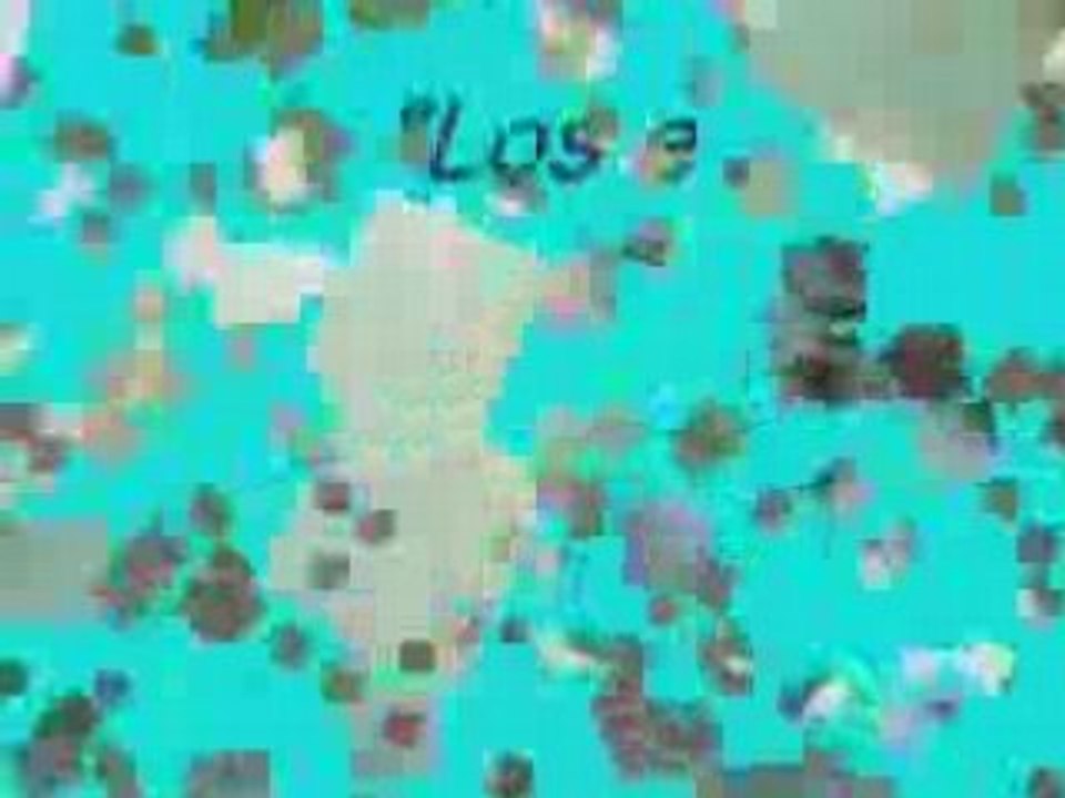 BELLOS ANIMALES Y FRASES CELEBRES