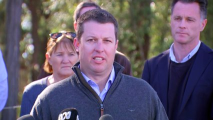 Bus driver charged over crash that killed 10 people in NSW Hunter Valley