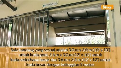 Asas Penjagaan Kuda
