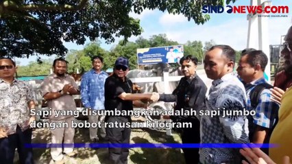 90 Ekor Sapi Dibagikan Crazy Rich Pangkalan Bun untuk Warga di 8 Kabupaten 1 Kota