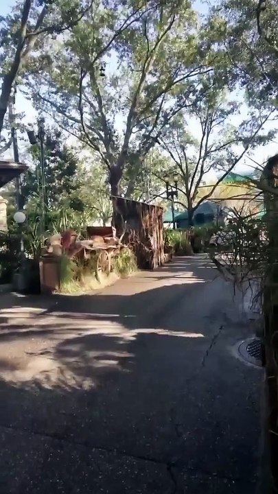 Universal Studios Florida Orlando, FL 2022