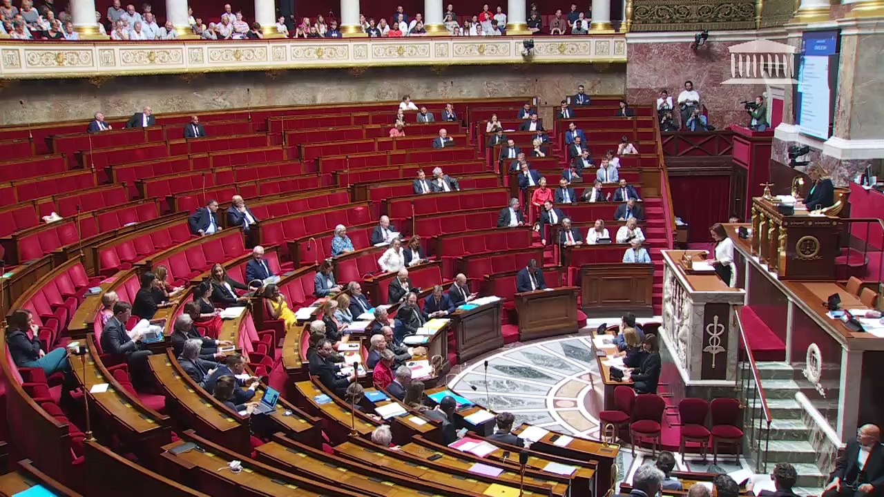 1ère séance : Discussion et vote sur une motion de censure (art. 49, al. 2, de la Constitution) ; Examen du permis de conduire (seconde lecture)  - Lundi 12 juin 2023