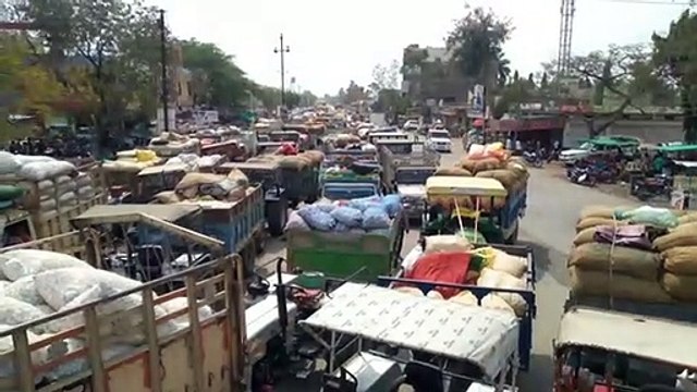 46 हजार किसानों का आज माफ होगा 102 करोड़ 97 लाख ब्याज तो सवा लाख से अधिक किसानों को मिलेगा फसल बीमा