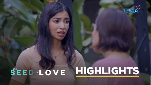 The Seed of Love: The loving wife misses her cheating husband (Episode 27)