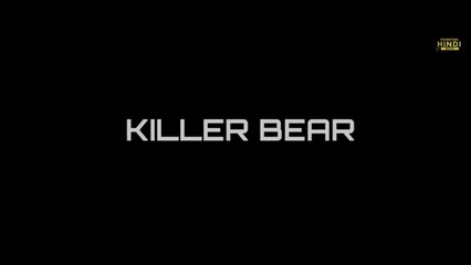 Download Video: KILLER BEAR Hollywood Hindi Dubbed Adventure Action Movie _ Hollywood Action Movies In Hindi Full HD