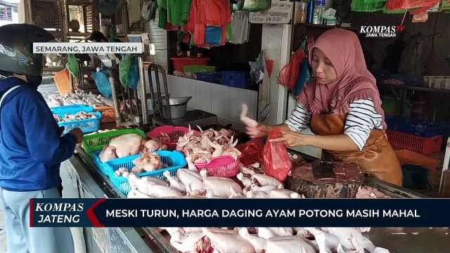 Meski Turun, Harga Daging Ayam Potong di Kota Semarang Masih Mahal