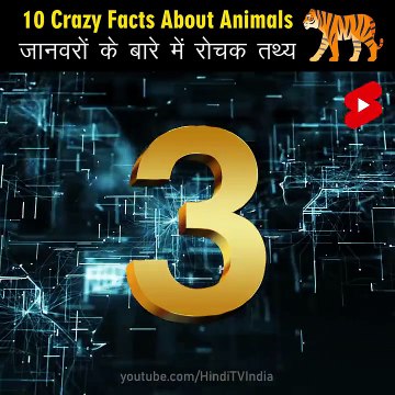 Crazy Facts About Animals _ Amazing Facts _ Random Facts _ Mind Blowing Facts in Hindi #Shorts