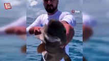Antalya açıklarında balıkçının 400 metre derindeki oltasına ‘ışık saçan’ köpek balığı takıldı