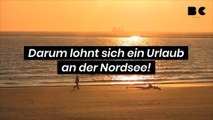 Darum lohnt sich ein Urlaub an der Nordsee!