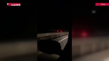 Yalova'da gece saatlerinde ters şeritte ilerleyen araç tehlike saçtı