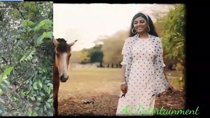 Timeless Old Movie & Emotional Songs 🎶 | A1Entertainment - thumbnail