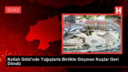 Kellah Gölü'nde Yağışlarla Birlikte Göçmen Kuşlar Geri Döndü