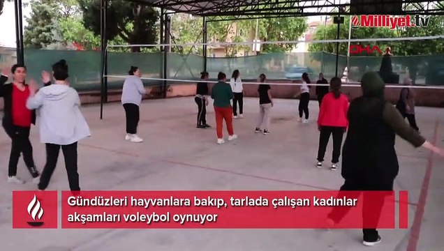 Gündüzleri hayvanlara bakıp, tarlada çalışan kadınlar akşamları voleybol oynuyor