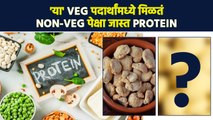 'हे' Veg पदार्थ खा Protein ची कमतरता कधीच भासणार नाही | Best Veg Food for Protein | Lokmat Sakhi MA3