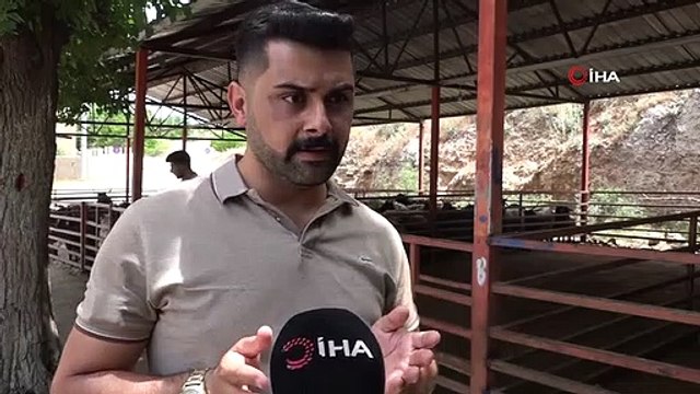 Kurban Bayramı öncesi hayvan pazarlarında hareketlilik