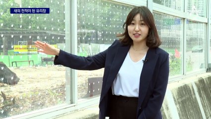 한 해 새 800만 마리 ‘쿵’…막을 길 있는데 조치 안 해