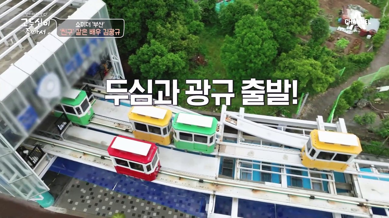 독신주의를 선언한 김광규?! 탁 트인 바다를 보며 함께하는 두심&광규의 아찔한(?) 토크♨