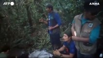 Colombia, il ritrovamento dei quattro bambini nella giungla