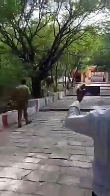 மருதமலையில் பக்தர்களை வழிமறித்த ஒற்றை காட்டு யானையால் பரபரப்பு