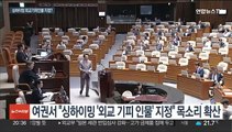 '베팅' 발언 논란 싱하이밍 '외교 기피인물' 지정되나…실효성은?