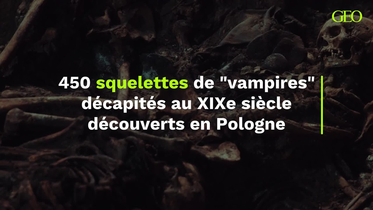 450 squelettes de "vampires" décapités au XIXe siècle découverts en Pologne