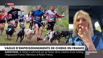 De plus en plus de chiens empoisonnés en France: Voici les conseils de la vétérinaire Hélène Gateau si votre animal est empoisonné - VIDEO