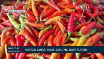 Harga Cabai Naik, Daging Sapi Turun Jelang Idul Adha