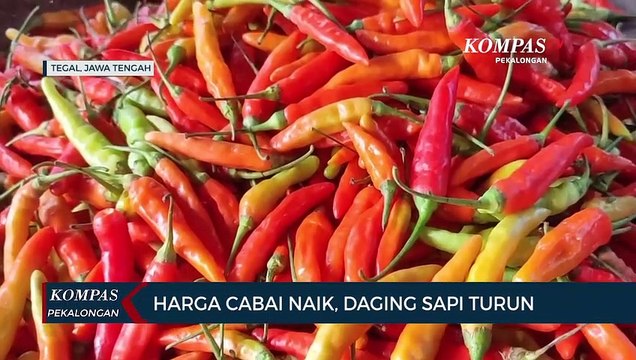 Harga Cabai Naik, Daging Sapi Turun Jelang Idul Adha