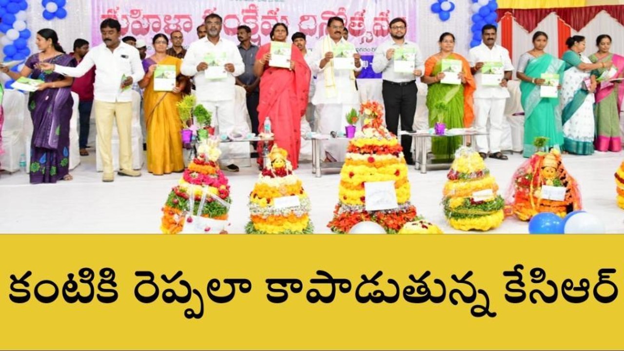 వనపర్తి: మహిళల సంక్షేమంలో తెలంగాణ నంబర్ వన్..!